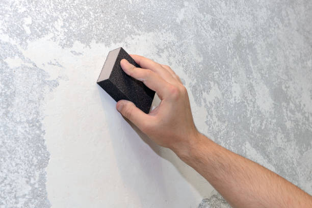 Best Emergency Mold Remediation  in Short Hills, NJ