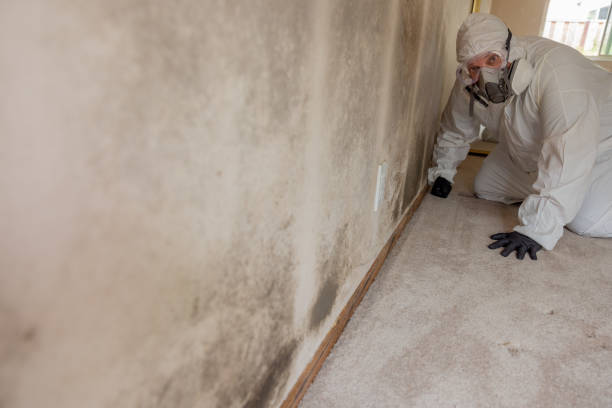 Best Post-Remediation Verification Testing  in Short Hills, NJ